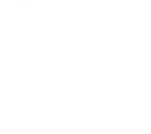 nur-gungor